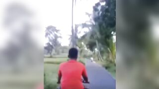 The coconut nut is a big big nut