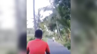 The coconut nut is a big big nut