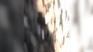 That would be a Mountain Lion