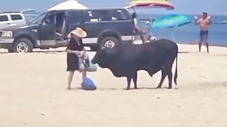 If You're Going to be Dumb you Gotta be Tough