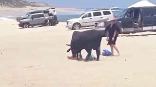 If You're Going to be Dumb you Gotta be Tough