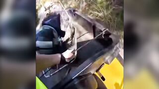 you're in good hands