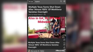 why can't we ever just have like, a normal president?