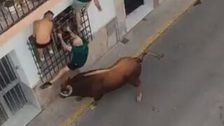 Shocking Video Shows Deadly Bull Attack In Spain