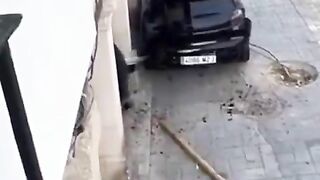 You really want tto see how Strong a Bull really is?