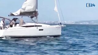 BEWARE OF THE KILLER WHALES: A Pod of Orcas Ram and Sink Small Yacht off the Coast of Portugal