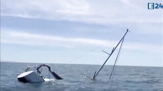 BEWARE OF THE KILLER WHALES: A Pod of Orcas Ram and Sink Small Yacht off the Coast of Portugal