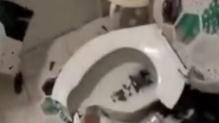 A well adjusted engineer scientist nobel prize laureate destroys his moms house.