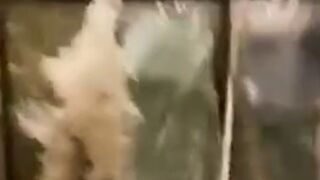 Super Typhoon Ragasa smashes into Hong Kong hotel