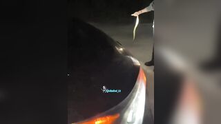 NEW: Woman survives venomous cottonmouth bite after mistaking it for a python on trip