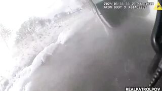 MESS: A pair of usuals, suspected of car theft, "try" to run from the police.