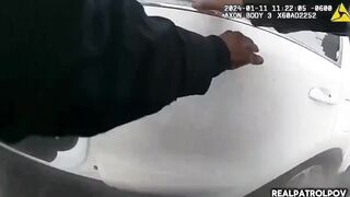 MESS: A pair of usuals, suspected of car theft, "try" to run from the police.