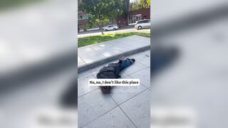 Yes, Portland is still hell. Where’s the Butterfly Net?