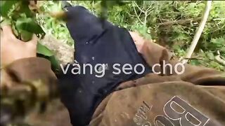 when you lie on your application: beez