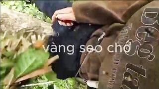 when you lie on your application: beez