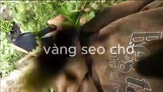 when you lie on your application: beez