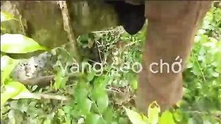 when you lie on your application: beez