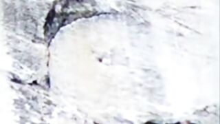 A well-known climbing influencer died in Yosemite National Park in the United States after falling off a cliff while streaming on TikTok.