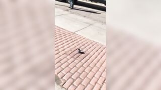 ICE Agents arrest man in Southern Colorado