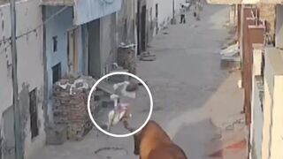 This is why we eat them here.