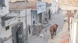 This is why we eat them here.