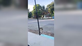 bro played…why did the chicken cross the road with his life