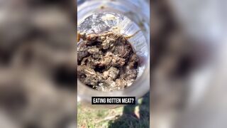 “Social Media Algorithms are elevating the most extreme Lifestyles”