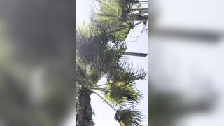 NEW: Man nearly hit by a helicopter that crashed in Huntington Beach California