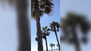 New Video Shows Man Crashed Under the Falling Helicopter