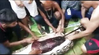 missing person found snake