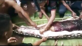 missing person found snake