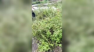 A property line dispute between neighbors turns into all-out brawl