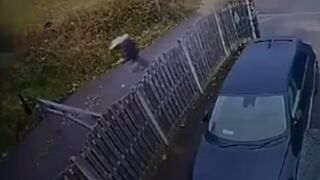 Cyclists and Scooters vs. Gate