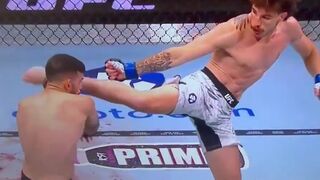 UFC Fans are saying this is the best knock out of 2025 by Quillan Salkilld.