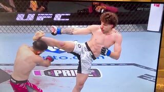 UFC Fans are saying this is the best knock out of 2025 by Quillan Salkilld.