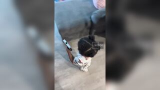 The usual culture with the usual suspects.