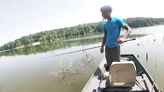 The usual suspects get stung with bees.