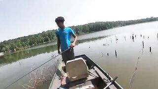 The usual suspects get stung with bees.