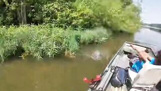 The usual suspects get stung with bees.