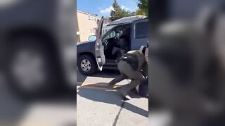 Car occupants forcibly arrested after ramming DHS agents