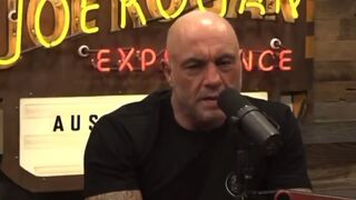 It’s all by DESIGN. Elon Musk was on Rogan yesterday: Joe Rogan while discussing with Elon Musk the plight of UK, Ireland & Europe realizing