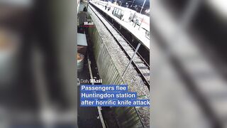 CCTV of Muslim terrorist who stabbed 11 ppl in London train last night