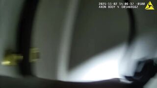 Suspect choking 7-year-old brother shot by Florida officer