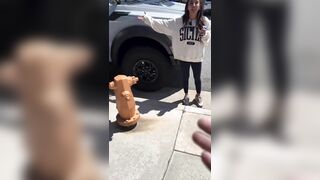 Parents have been blocking driveways to pick up their kids from school