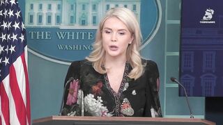 Leavitt: “There’s fraud in California’s elections. It’s just a fact.”