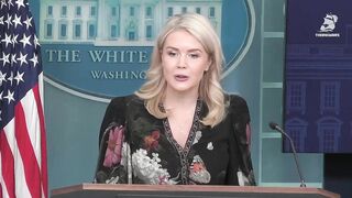 Leavitt: “There’s fraud in California’s elections. It’s just a fact.”