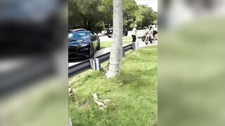 Florida woman arrested, charged after viral video shows confrontation with teens