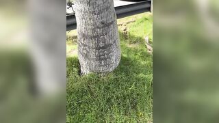 Florida woman arrested, charged after viral video shows confrontation with teens