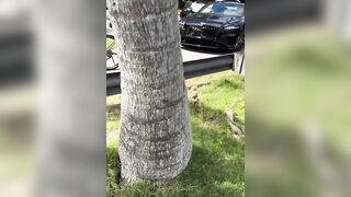 Florida woman arrested, charged after viral video shows confrontation with teens