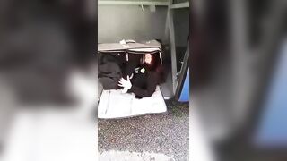 Irish man was taking drugs with his girlfriend, she passed out he thought she had die